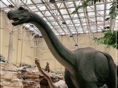 -国家自然博物馆