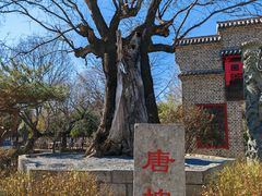 -观唐（国际）度假村温泉