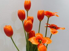 -循礼门鲜花花市(武汉循礼门店)