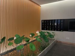 -圣梦亲体美肤生活馆