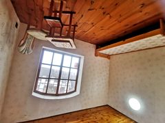 -金山农民画村-枫泾波兰倒置屋