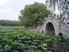 -长春市南湖公园