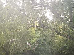 景观位-晋阳饭庄(虎坊桥店)