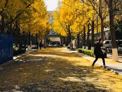 -北京化工大学(东校区)