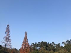 -白鹿洞书院
