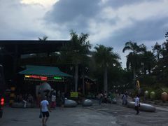 -100蛋泥浆浴