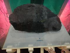 -吉林省自然博物馆