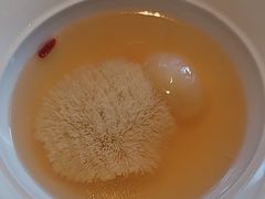 -淮香国色(正大中心店)