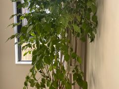 -汇盈·棋牌会所