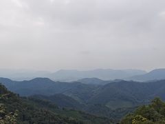 -十里琅珰