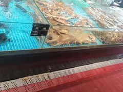 -苏先生海鲜渔庄(金桥店)
