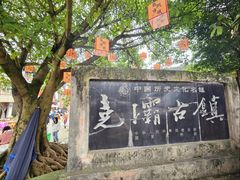 -尧坝古镇