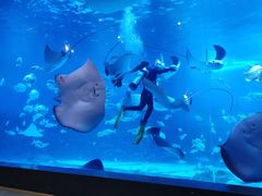 -烟台海昌鲸鲨海洋公园