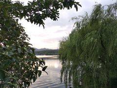 -西湖区图书馆(古墩路)