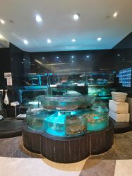 -金翠皇宫·宴会厅