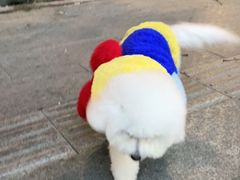 -佳雯宠物医院(金华南路分院)