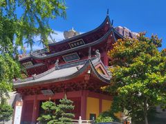 -上海东林寺(金山区)
