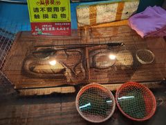 -侠成水上农庄(工业大道店)
