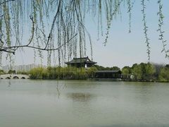 -南汇桃花村