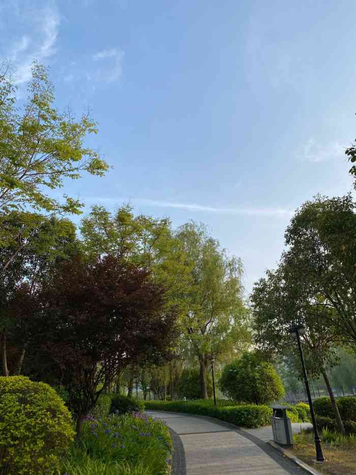 洞林湖-"荥阳近几年发展的还是挺快的,光就恒大,碧."-大众点评移动版