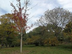 -北京动物园-畅观楼