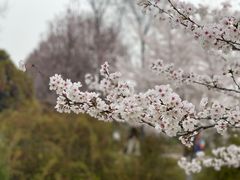 -陕西省西安植物园