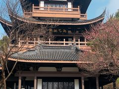 -范蠡湖公园