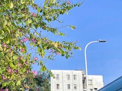 -二沙岛艺术公园