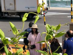 -灌篮高手动画打卡地