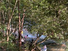 -广州白江湖森林公园