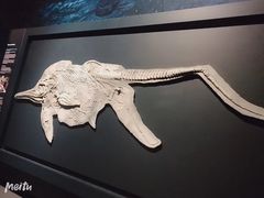 -澳大利亚国家海事博物馆