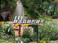 -云丘山景区