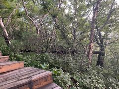 -白草畔自然风景区