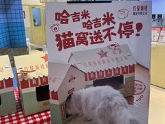 -红星前进面包牛奶公司(君太店)