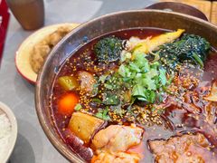 -极乐小煮·成都冒菜(科技绿洲店)