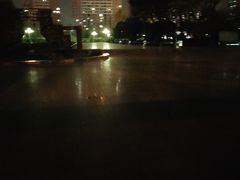 -西清公园