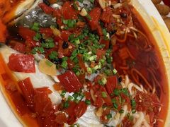 -阿毛饭店·宁波老字号(儿童公园旗舰店)