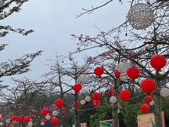 -盈香心动乐园