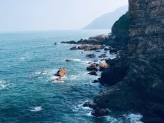 -杨梅坑