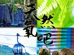 -呀诺达热带雨林