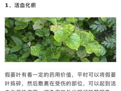 -华姐鸡粉(教育路店)