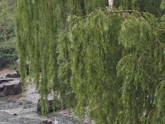 -苏州古运河游船(新市桥码头)