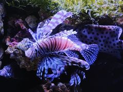 -杭州长乔极地海洋公园
