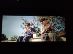 -SFC上影影城(淞南店)