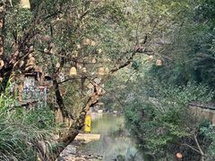 -宁波五龙潭景区