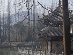 -习家池