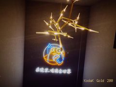 -顽啤熊·酒客酒馆(苏城夜景必选店)