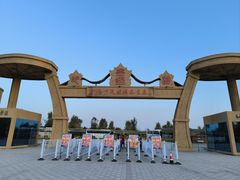 -金塔沙漠胡杨林景区