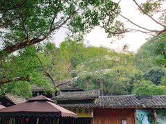 -桂林古东瀑布景区