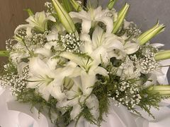 -万龙洲海鲜·粤菜(亚运村店)